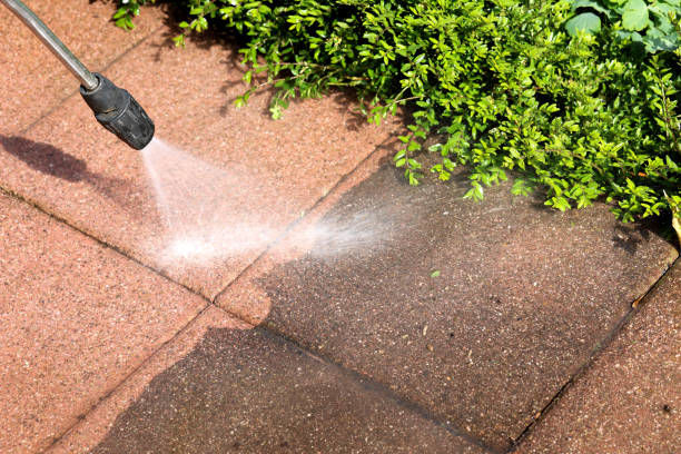 Best Pressure Washing Near Me  in Questa, NM