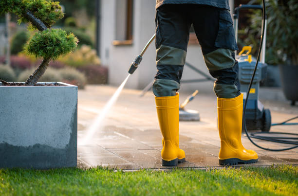 Best Affordable Power Washing  in Questa, NM